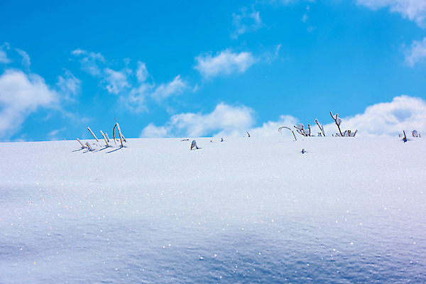 포토 JPG 주간 구름 설경 겨울 자연 하늘 풍경 사람없음 야외 일본 나뭇가지 눈 겨울풍경 국내포토 자연요소 나무 계절 아시아 날씨 생태계 파일형식