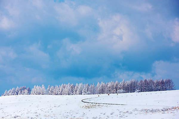 포토 JPG 주간 나무 구름 설경 겨울 자연 하늘 풍경 사람없음 야외 일본 눈 숲 겨울풍경 국내포토 자연요소 식물 계절 아시아 날씨 생태계 파일형식