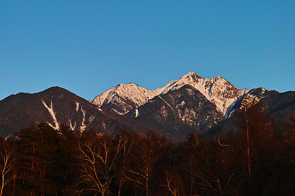 포토 JPG 주간 나무 설경 겨울 자연 하늘 산 풍경 사람없음 야외 일본 눈 숲 겨울풍경 국내포토 자연요소 식물 계절 아시아 날씨 생태계 파일형식