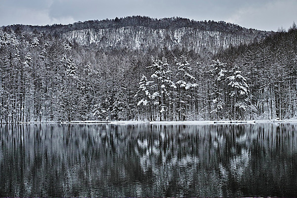 포토 JPG 주간 나무 구름 호수 설경 겨울 자연 하늘 산 물그림자 풍경 사람없음 야외 일본 눈 숲 겨울풍경 국내포토 자연요소 식물 계절 아시아 날씨 그림자 생태계 파일형식