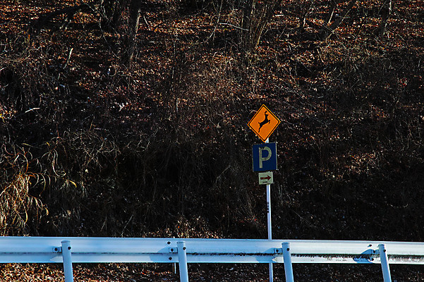포토 JPG 주간 자연 산 풍경 사람없음 야외 표지판 숲 동물보호구역 안전펜스 야생동물보호 국내포토 자연요소 알림판 울타리 생태계 보호구역 파일형식