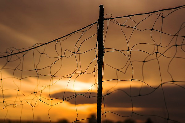 포토 JPG 주간 구름 실루엣 자연현상 자연 하늘 풍경 사람없음 야외 아웃포커스 노을 일몰 철조망 국내포토 자연요소 촬영기법 생태계 파일형식