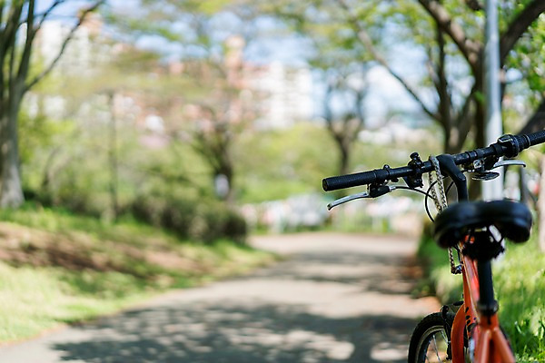 포토 JPG 주간 나무 풍경 사람없음 야외 아웃포커스 자전거 산책로 국내포토 자연요소 식물 길 촬영기법 바이크 파일형식
