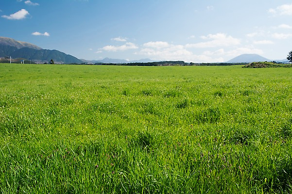 포토 JPG 주간 구름 자연 하늘 산 풍경 초원 사람없음 야외 맑음 국내포토 자연요소 날씨 생태계 파일형식