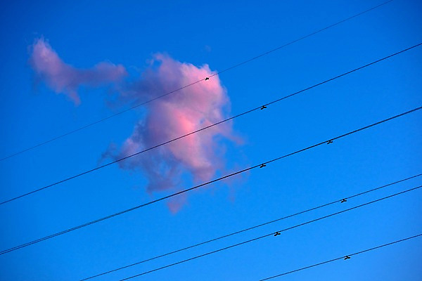 포토 JPG 주간 구름 로우앵글 자연 하늘 풍경 사람없음 야외 노을 전선 국내포토 자연요소 뷰포인트 생태계 파일형식