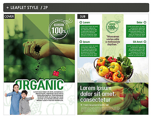 템플릿 손 여자 남자 ZIP 포스터 어린이 음식 방울토마토 딸기 피망 팜플렛 상반신 두명 흙 한국인 최고 전단템플릿 전단 유기농 청경채 인디자인 INDD 이미지템플릿 웰빙 토마토 채소 과일 사람 동양인 신체부위 홍보물 파일형식