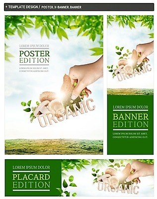 PSD 구름 손 배너 배너템플릿 가로배너 ZIP 포스터 세로배너 채소 하늘 호박 나뭇잎 한손 한명 신체부위 세트 버섯 현수막 유기농 고구마 자연요소 템플릿 1 웰빙 잎 뿌리채소 사람 가로 세로 파일형식