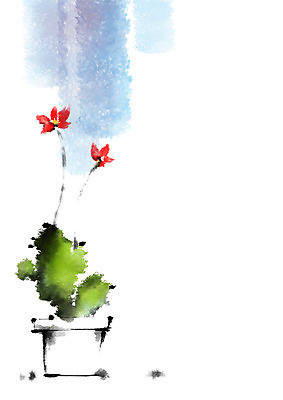 PSD 꽃 화분 일러스트 캘리그라피 자연 사람없음 국내일러스트 식물 생태계 파일형식