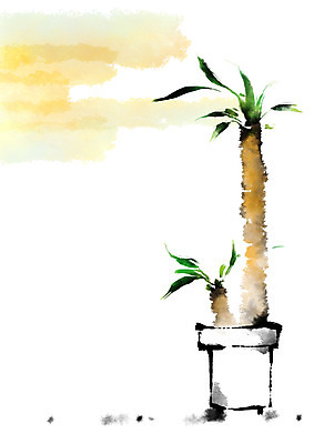 PSD 나무 화분 잎 일러스트 캘리그라피 자연 사람없음 국내일러스트 식물 생태계 파일형식