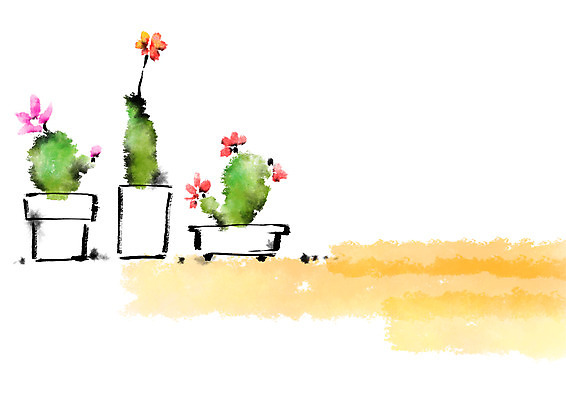 PSD 꽃 화분 일러스트 캘리그라피 자연 선인장 사람없음 국내일러스트 식물 생태계 파일형식