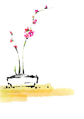 PSD 꽃 화분 일러스트 캘리그라피 자연 사람없음 국내일러스트 식물 생태계 파일형식