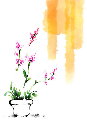 PSD 꽃 화분 일러스트 캘리그라피 자연 사람없음 국내일러스트 식물 생태계 파일형식