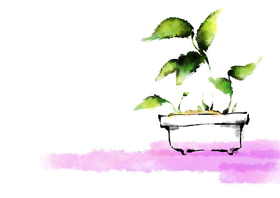 PSD 화분 잎 일러스트 캘리그라피 자연 사람없음 국내일러스트 식물 생태계 파일형식