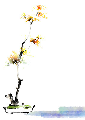 PSD 꽃 화분 일러스트 캘리그라피 자연 꽃나무 사람없음 분재 국내일러스트 나무 식물 생태계 파일형식