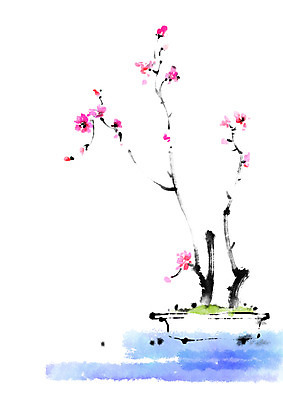 PSD 꽃 화분 일러스트 캘리그라피 자연 꽃나무 사람없음 분재 국내일러스트 나무 식물 생태계 파일형식