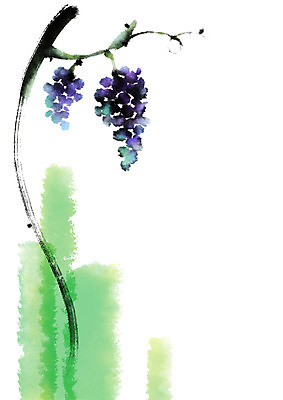 PSD 열매 과일 일러스트 캘리그라피 포도 사람없음 덩굴 번짐 포도나무 국내일러스트 식물 과일나무 파일형식 효과