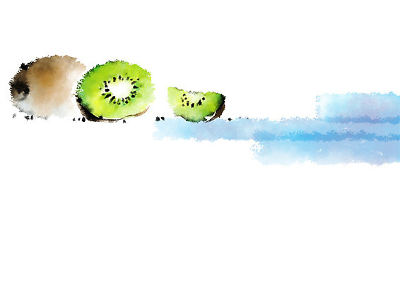 PSD 음식 일러스트 캘리그라피 단면 키위 사람없음 국내일러스트 과일 파일형식