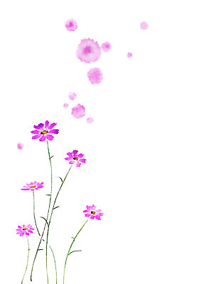 PSD 꽃 일러스트 캘리그라피 자연 가을꽃 사람없음 가을 코스모스 흩날리기 국내일러스트 식물 계절 모션 생태계 파일형식 가을_계절