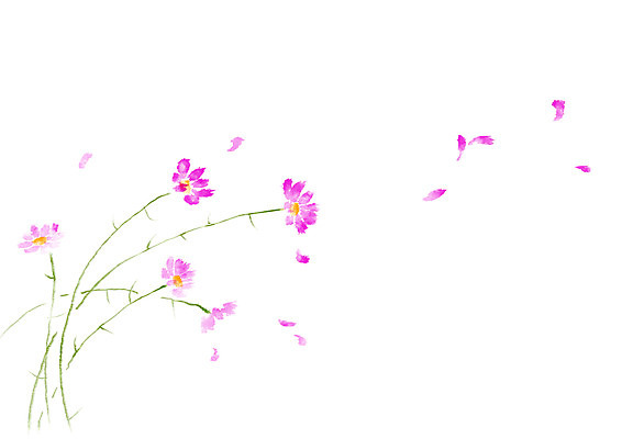 PSD 꽃잎 꽃 일러스트 캘리그라피 자연 가을꽃 사람없음 가을 코스모스 흩날리기 국내일러스트 식물 계절 모션 생태계 파일형식 가을_계절