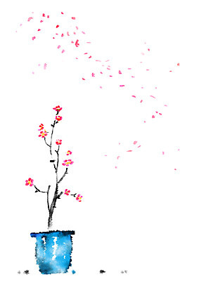 PSD 꽃잎 꽃 화분 일러스트 캘리그라피 자연 꽃나무 사람없음 분재 흩날리기 국내일러스트 나무 식물 모션 생태계 파일형식