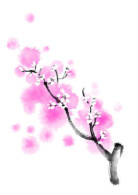 PSD 꽃 일러스트 캘리그라피 자연 사람없음 나뭇가지 국내일러스트 나무 식물 생태계 파일형식