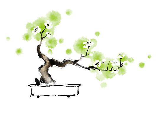 PSD 꽃 화분 일러스트 캘리그라피 자연 꽃나무 사람없음 분재 국내일러스트 나무 식물 생태계 파일형식