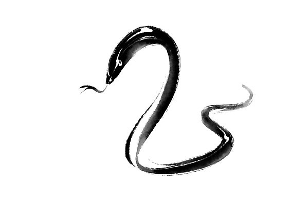 PSD 한마리 야생동물 일러스트 캘리그라피 자연 수묵화 사람없음 뱀 메롱 국내일러스트 동물 1 파충류 모션 미술 생태계 파일형식