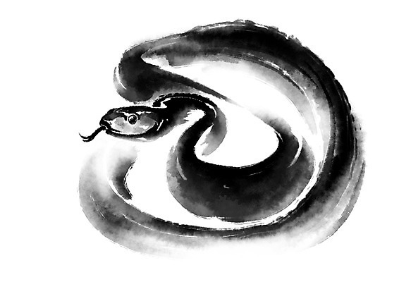 PSD 한마리 야생동물 일러스트 캘리그라피 자연 수묵화 사람없음 뱀 메롱 또아리 국내일러스트 동물 1 파충류 모션 미술 생태계 파일형식