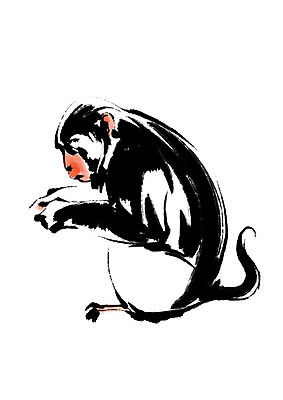 PSD 한마리 야생동물 일러스트 캘리그라피 자연 사람없음 원숭이 국내일러스트 동물 1 포유류 생태계 파일형식