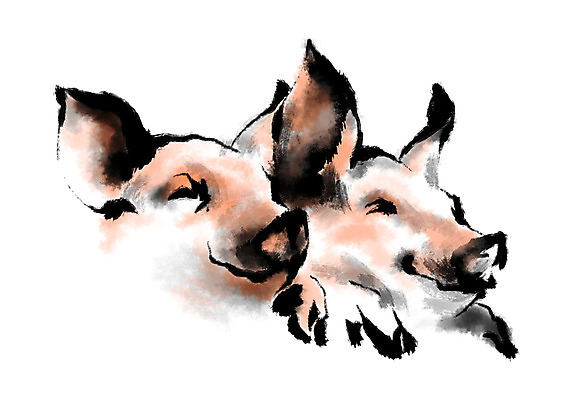 PSD 두마리 일러스트 캘리그라피 사람없음 가축 돼지 아프리카돼지열병 국내일러스트 동물 2 포유류 파일형식 돼지전염병