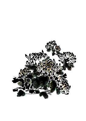 PSD 여러송이 잎 일러스트 캘리그라피 자연 국화 수묵화 사람없음 국내일러스트 식물 꽃 다수 미술 생태계 파일형식