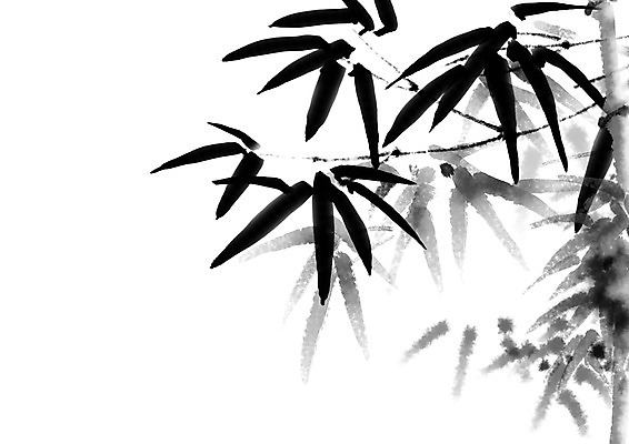 PSD 일러스트 캘리그라피 자연 수묵화 사람없음 대나무 대나무잎 국내일러스트 나무 잎 미술 생태계 파일형식