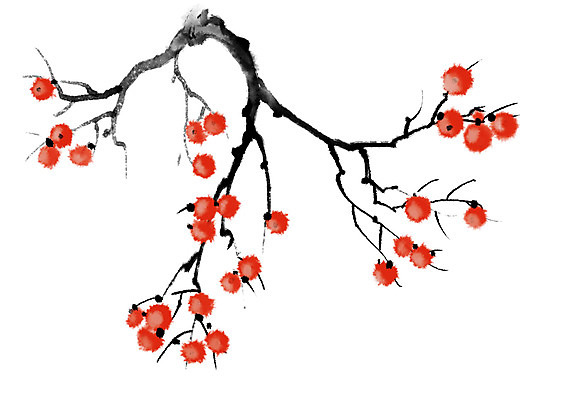 PSD 열매 일러스트 캘리그라피 자연 감 사람없음 가을 나뭇가지 감나무 국내일러스트 나무 식물 계절 과일 생태계 파일형식