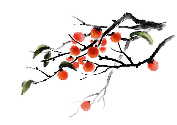 PSD 열매 일러스트 캘리그라피 자연 감 사람없음 가을 나뭇가지 감나무 국내일러스트 나무 식물 계절 과일 생태계 파일형식