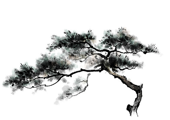 PSD 일러스트 캘리그라피 자연 한그루 수묵화 사람없음 소나무 국내일러스트 나무 1 미술 생태계 파일형식
