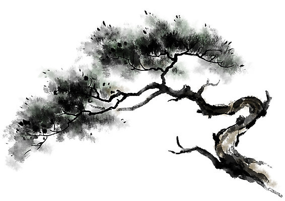 PSD 일러스트 캘리그라피 자연 한그루 수묵화 사람없음 소나무 국내일러스트 나무 1 미술 생태계 파일형식