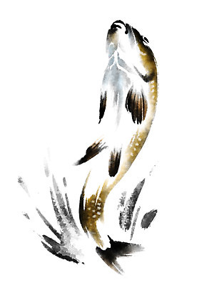 PSD 한마리 일러스트 캘리그라피 자연 사람없음 잉어 국내일러스트 1 어류 생태계 파일형식