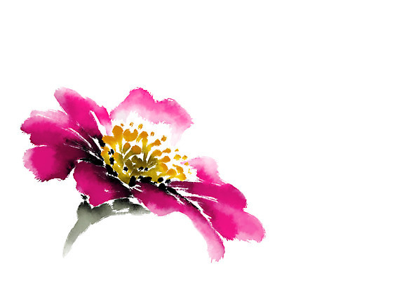 PSD 꽃 한송이 일러스트 캘리그라피 자연 사람없음 국내일러스트 식물 1 생태계 송이 파일형식