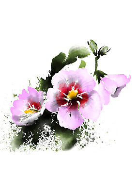 PSD 꽃 일러스트 캘리그라피 자연 사람없음 번짐 세송이 무궁화 애국심 국내일러스트 식물 3 생태계 파일형식 효과