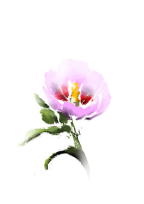 PSD 꽃 한송이 일러스트 캘리그라피 자연 사람없음 무궁화 국내일러스트 식물 1 생태계 송이 파일형식