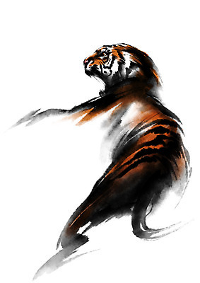 PSD 한마리 야생동물 일러스트 캘리그라피 사람없음 호랑이 맹수 포효 국내일러스트 동물 1 포유류 외침 파일형식