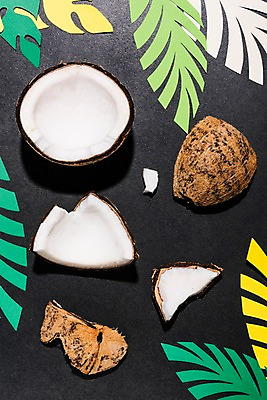 포토 JPG 스튜디오촬영 백그라운드 과일 나뭇잎 실내 사람없음 코코넛 야자수잎 국내포토 잎 내부 파일형식