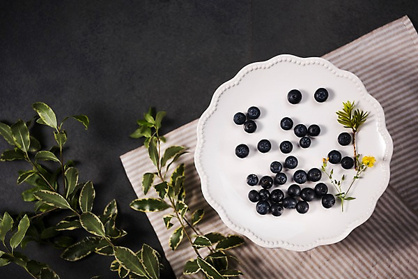 포토 JPG 스튜디오촬영 접시 백그라운드 과일 나뭇잎 실내 사람없음 천 블루베리 국내포토 식기 잎 내부 직물 파일형식