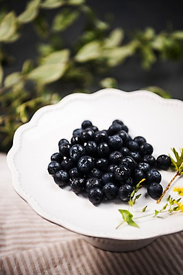 포토 JPG 스튜디오촬영 백그라운드 과일 나뭇잎 실내 사람없음 아웃포커스 천 블루베리 국내포토 잎 촬영기법 내부 직물 파일형식