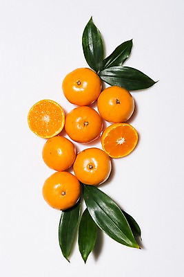 포토 JPG 스튜디오촬영 백그라운드 과일 단면 나뭇잎 귤 실내 사람없음 여러개 제철과일 국내포토 다수 잎 내부 제철 파일형식