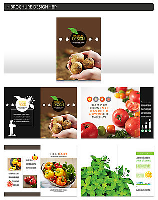 템플릿 손 ZIP 토마토 감자 파프리카 사람 팜플렛 성인 신체부위 농작물 새싹 신선 유기농 담기 청경채 인디자인 INDD 이미지템플릿 식물 웰빙 농업 채소 모션 파일형식