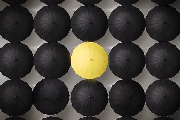 포토 JPG 스튜디오촬영 우산 실내 사람없음 여름 노란색 검은색 여러개 비 장마 국내포토 자연요소 계절 컬러 다수 날씨 내부 비_날씨 파일형식