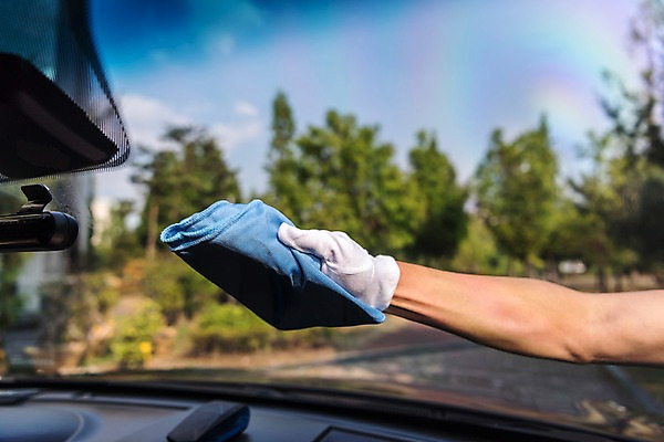 포토 JPG 주간 나무 손 자동차 유리 야외 신체부위 여름 비 청소 장마 걸레 목장갑 방수 국내포토 자연요소 식물 계절 육상교통 장갑 재질 날씨 사람 비_날씨 청소도구 파일형식