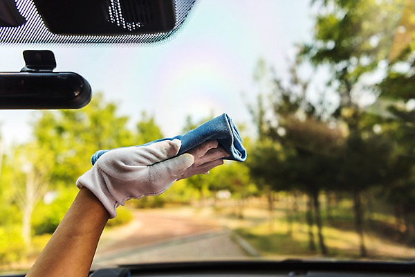 포토 JPG 주간 나무 손 자동차 유리 야외 아웃포커스 신체부위 여름 비 청소 장마 걸레 목장갑 방수 국내포토 자연요소 식물 계절 육상교통 장갑 재질 날씨 촬영기법 사람 비_날씨 청소도구 파일형식