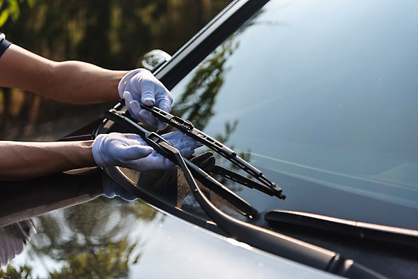 포토 JPG 주간 손 자동차 유리 야외 아웃포커스 신체부위 여름 비 청소 준비 장마 교체 목장갑 와이퍼 국내포토 자연요소 계절 육상교통 장갑 재질 날씨 촬영기법 사람 비_날씨 파일형식